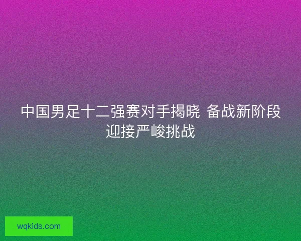 中国男足十二强赛对手揭晓 备战新阶段迎接严峻挑战
